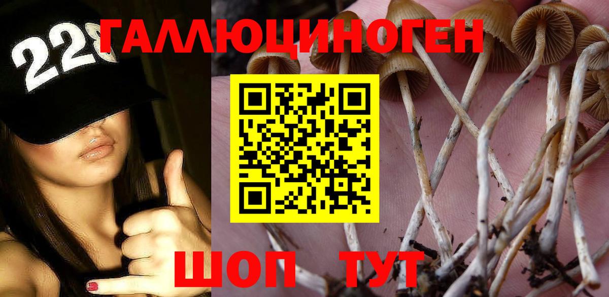 Черногорск  Псилоцибиновые грибы Magic Shrooms  Вход с VPN  Галлюциногенные грибы GOLDEN TEACHER 